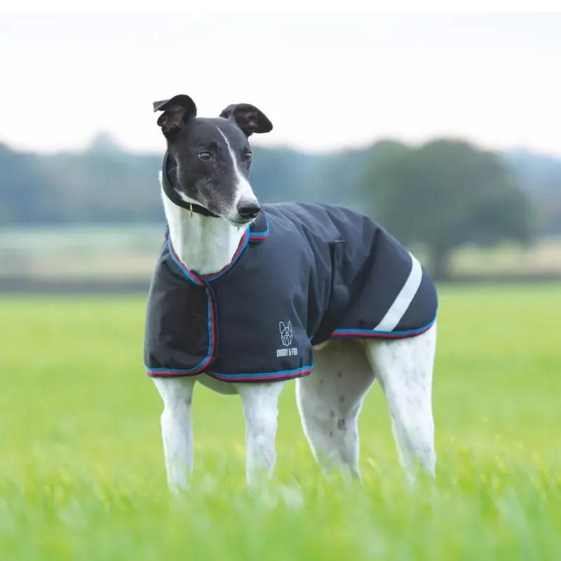 Digby and Fox Waterproof Greyhound Coat - Black